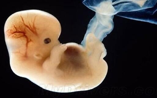 1467609307650210.jpg 1111.jpg