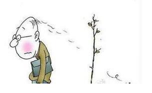 1468547471835677.jpg QQ截圖20160715095138.jpg