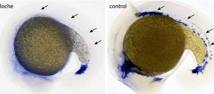 1468804471185122.jpg QQ截圖20160718091459.jpg