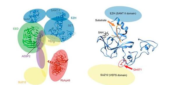 1471311968953153.jpg QQ截圖20160816094555.jpg