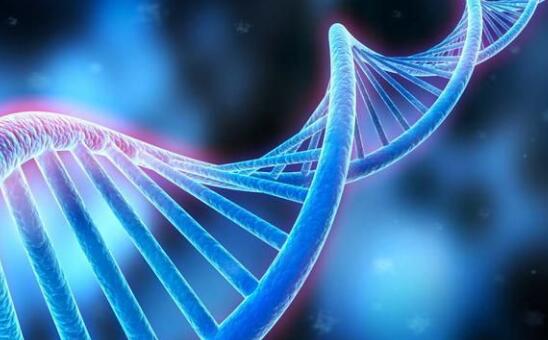 1471397996980048.jpg QQ截圖20160817093931.jpg