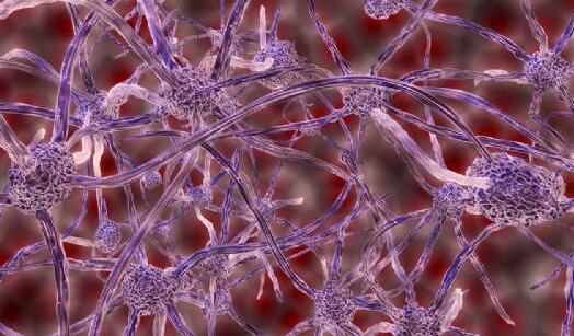 1472438625248680.jpg QQ截圖20160829104318.jpg