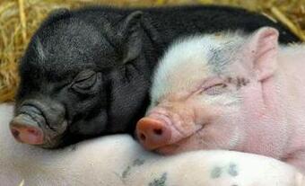 1472523701598916.jpg QQ截圖20160830102121.jpg