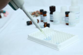 1586851310113918.jpg 201304081010170570.jpg